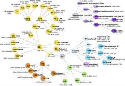 Non-parametric Heat Map Representation of Flow Cytometry Data: Identifying Cellular Changes Associated With Genetic Immunodeficiency Disorders